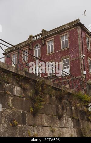 From below wall with plant, red brick house, flying bird and cloudy grey sky in Porto, Portugal Stock Photo