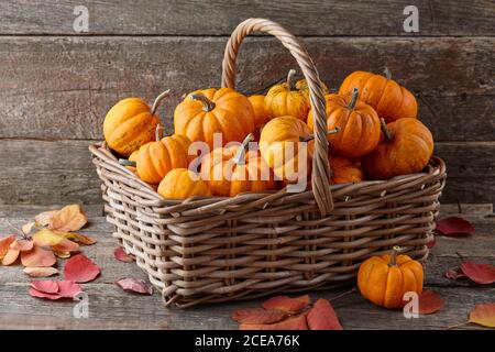 Basket with beautiful mini pumpkins on wooden planks, holiday decoration Stock Photo