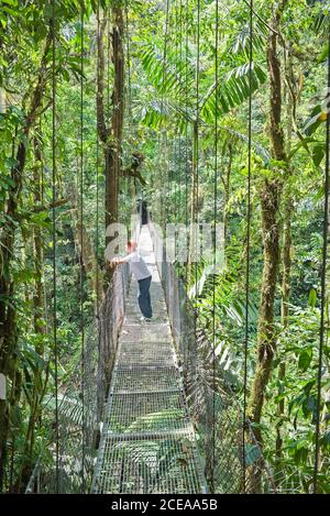 Man standing on hanging bridge in rainforest, La Fortuna, Alajuela province, Costa Rica, Central America, Stock Photo