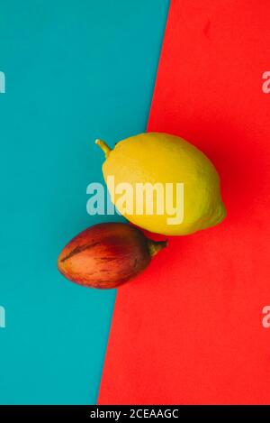 Fresh whole tamarillo and ripe lemon lying on bright red and blue background Stock Photo