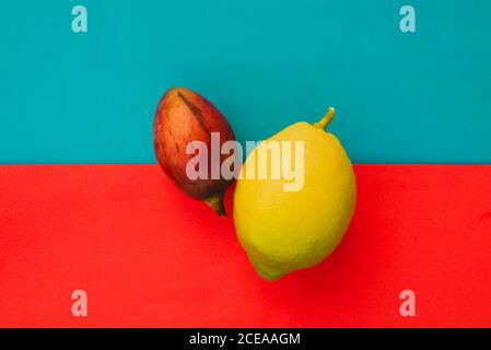 Fresh whole tamarillo and ripe lemon lying on bright red and blue background Stock Photo