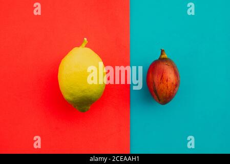 Fresh whole tamarillo and ripe lemon lying on bright red and blue background Stock Photo