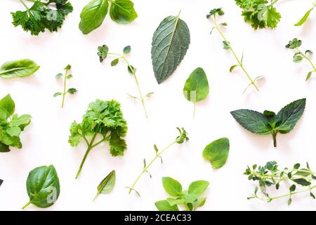 Fresh herbs on white background Stock Photo