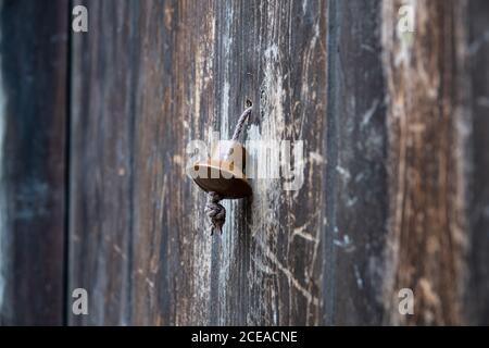 Vintage metal iron door handle on an old door made of natural wood. Horizontal orientation, selective focus. Doorknocker Stock Photo