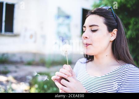 young Woman blowing on delicate dandelion while walking in countryside on sunny day Stock Photo