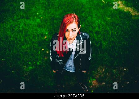 From above hot of young girl with red dyed hair wearing black leather jacket and looking at camera on green grass Stock Photo