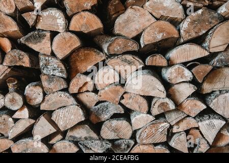 Textured background of pile of dry logs in countryside Stock Photo