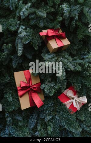 From above shot of two Christmas gift boxes lying on green twigs of conifer tree Stock Photo