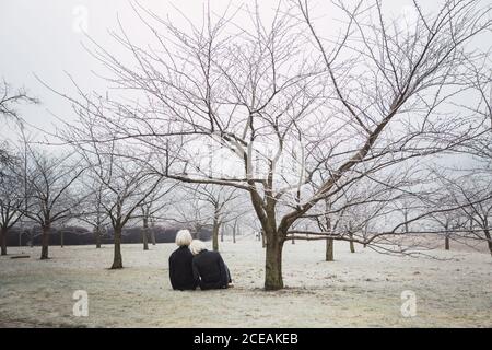 Blond ladies in same cloths sitting under tree in park Stock Photo
