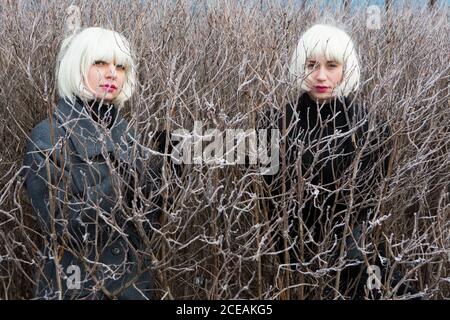 Blond ladies in same cloths between dry shrub Stock Photo