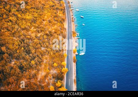 Aerial view of road in autumn forest and boats in the sea Stock Photo