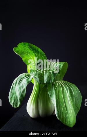 Bok choy in black background Stock Photo