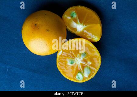 Three oranges with orange color isolated on dark blue background Stock Photo