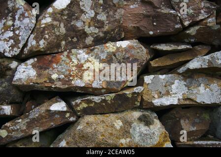 Detail of lichen on a dry stone wall. Stock Photo