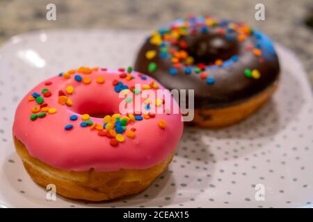 Two Donuts on White Plate With Colorred Sprinkles on Top Stock Photo