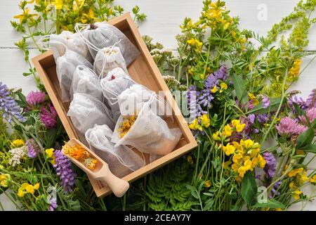 Wooden box of tea bags filled with dry medicinal herbs. Bunch of medicinal plants on wooden table. Top view. Alternative medicine Stock Photo
