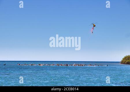 Helicopter dropping flowes on distant surfers during a celebration of life ceremony. Stock Photo