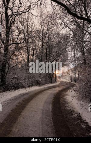Sunset with reflections at an icy country road through to the forest. Stock Photo