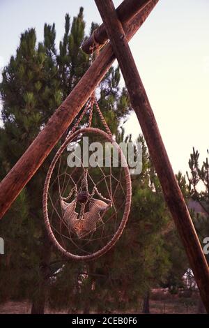 Handmade dream catcher hanging on wooden trunks at meadow with green firs with clear sky on background Stock Photo