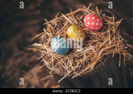 Set of Easter eggs on straw Stock Photo