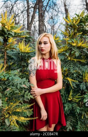 Young Woman standing in nature Stock Photo