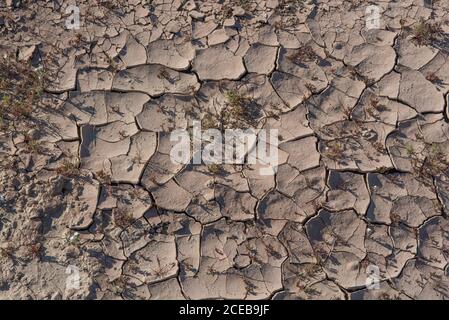 Cracked, barren soil to illustrate in the Sonoran Desert of Southern California, showing that there has been rain in the recent past Stock Photo