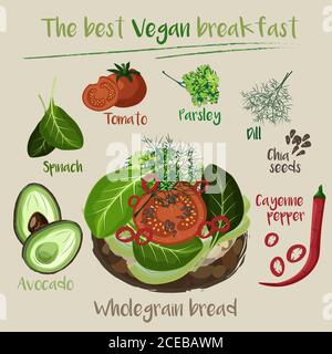 vector illustration of vegan breakfast meal full of nutrition Stock Vector