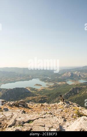 Small dog standing on top of rough rock and looking at beautiful valley with calm lakes on sunny day in Spain Stock Photo