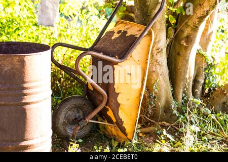 Grungy wheelbarrow leaning on tree on sunny day in garden Stock Photo