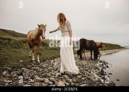 Side view of unrecognizable Woman standing and pulling hand to horse standing on meadow at river. Stock Photo