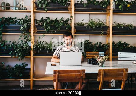 casual bearded man with photo camera and smartphone sitting at table while using laptop Stock Photo