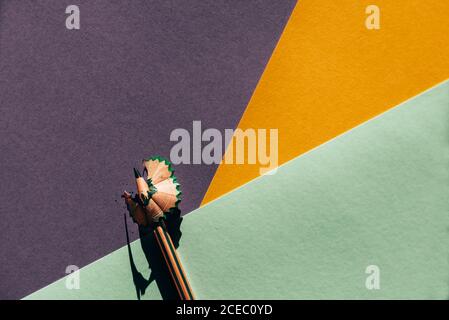 Pencil and shavings from sharpening, on colored geometric papers background. Back to school concept Stock Photo