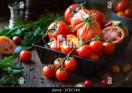 Variety of red, yellow and black tomatoes on a vintage tray on dark rustic wooden background. Stock Photo