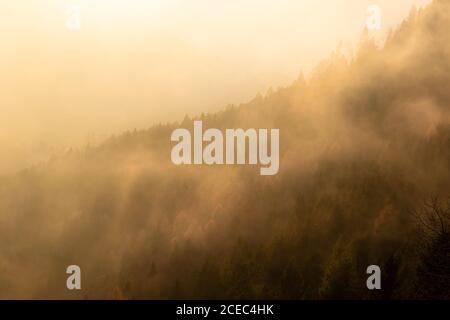 Mountain covered with autumn colored trees and illuminated by the rays of the setting sun that break through the mist. Belluno, Italy Stock Photo