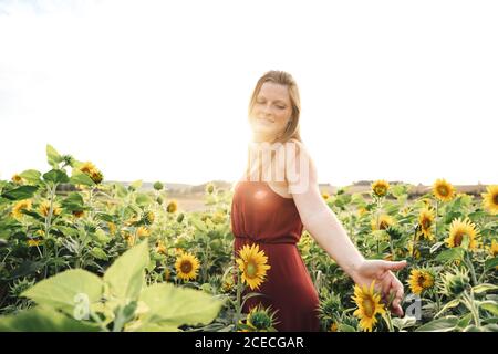 Beautiful young woman enjoying beautiful sunflowers blooming in farm on sunny day Stock Photo