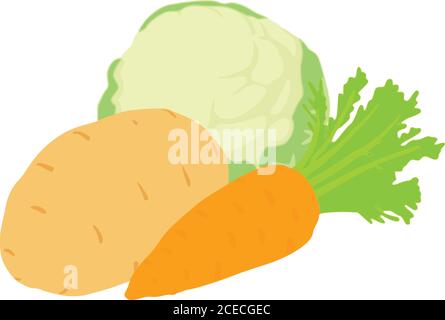 Vegetable harvest icon, isometric style Stock Vector