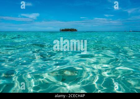 Picturesque view of tropical trees between sea and blue sky in San Blas islands, Panama