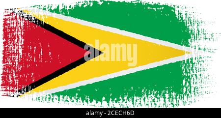 Guyana flag brushstroke Stock Vector