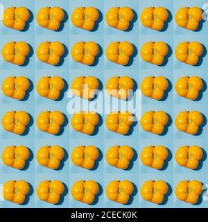 Seamless pattern of top view ripe juicy yellow tomatoes on blue background. Stock Photo