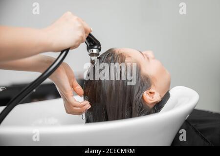 Shampooing hair in spa beauty salon of young brunette woman, hairdresser caring for client Stock Photo