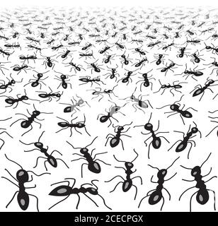 pattern with ants Stock Vector