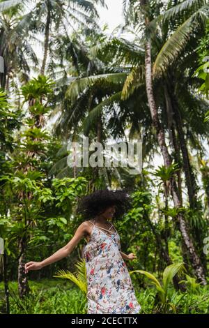 Young lady in dress between tropical forest Stock Photo