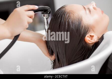 Shampooing hair in spa beauty salon of young brunette woman, hairdresser caring for client Stock Photo