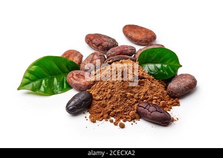 Cocoa beans with cocoa leaves and cocoa powder isolated on white Stock Photo
