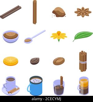 Cinnamon icons set, isometric style Stock Vector