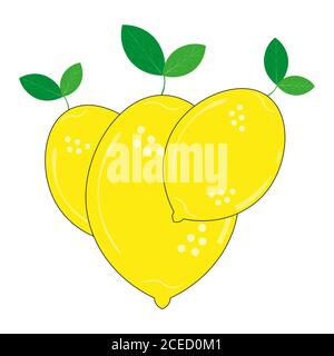 Three Vector Lemons on a white background Stock Vector