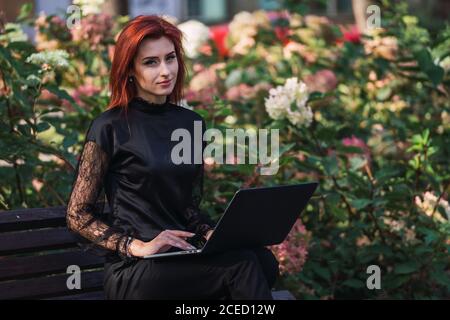 Woman using laptop on bench Stock Photo