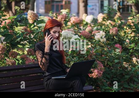 Woman using laptop and smartphone on bench Stock Photo