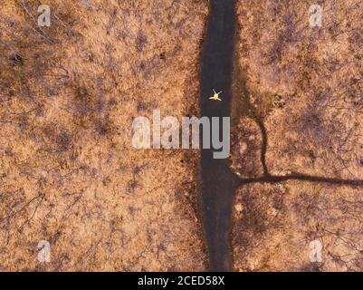 From above shot of faceless person lying on narrow countryside road in North Iceland. Stock Photo