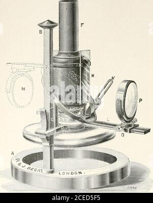 . The microscope and its revelations. ws on to the rod and bruises it. This lamp, ifmade, as it should be, with a japanned tin reservoir and a cast-iron tripod foot, is quite inexpensive. There is no justificationfor a circular foot, except that it can be readily and well finishedin the lathe with better apparent results and less labour than otherforms. A small lamp is made by Messrs. R. and J. Beck. We illus-trate it in. fig. 342. The base, A, consists of a heavy ring, into which a square brass 1 It is very important to remove the metal chimney after use, or at least not toleave it on when no Stock Photo